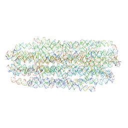 AU of 6zql by Molmil