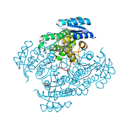 BU of 6zr6 by Molmil