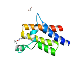 BU of 6zs4 by Molmil