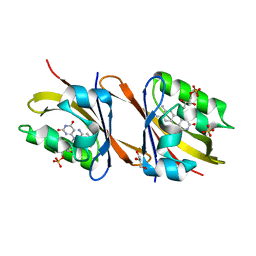 BU of 7ab6 by Molmil