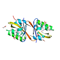 BU of 7ab7 by Molmil