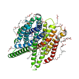 BU of 7ac6 by Molmil