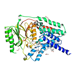 BU of 7aci by Molmil