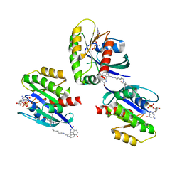 BU of 7acq by Molmil