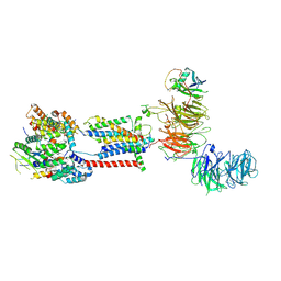 BU of 7adp by Molmil