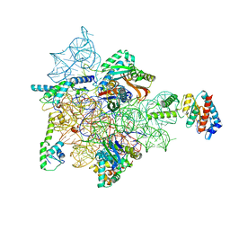 BU of 7afd by Molmil