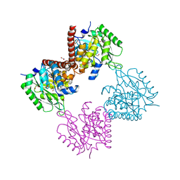 BU of 7ag1 by Molmil