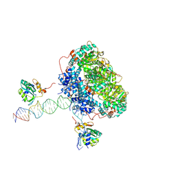 BU of 7apd by Molmil