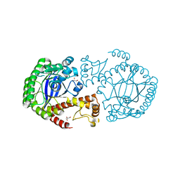 BU of 7apl by Molmil