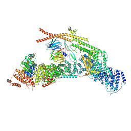 BU of 7apx by Molmil