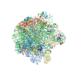 BU of 7asm by Molmil