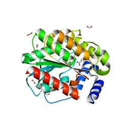 BU of 7atf by Molmil