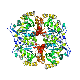 BU of 7avr by Molmil