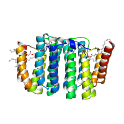 BU of 7b1n by Molmil