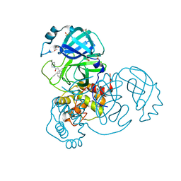 BU of 7b2j by Molmil