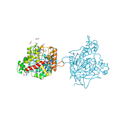 BU of 7b38 by Molmil