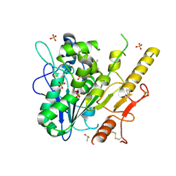 BU of 7b3x by Molmil