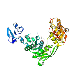 BU of 7b61 by Molmil