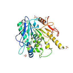 BU of 7bcc by Molmil