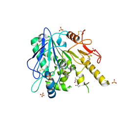 BU of 7bci by Molmil