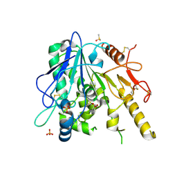 BU of 7bcl by Molmil