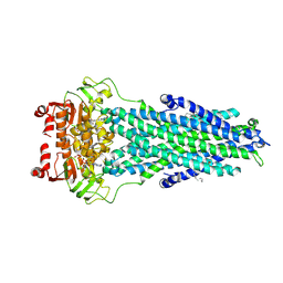 BU of 7bcw by Molmil