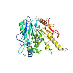 BU of 7bdd by Molmil