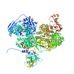 BU of 7bdl by Molmil