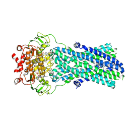 BU of 7bg4 by Molmil