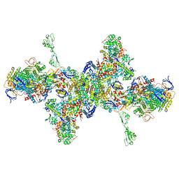 BU of 7bkb by Molmil