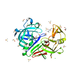 BU of 7bkw by Molmil