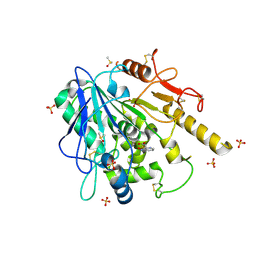 BU of 7bls by Molmil