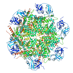 BU of 7bpa by Molmil