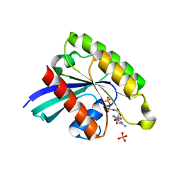 BU of 7bta by Molmil