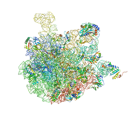 BU of 7bv8 by Molmil