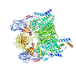 BU of 7bvc by Molmil