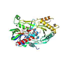 BU of 7bwp by Molmil