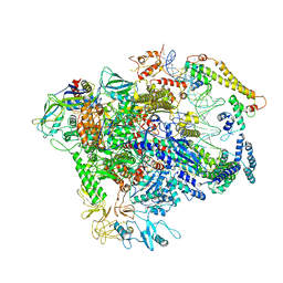 BU of 7c17 by Molmil