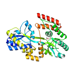 BU of 7c1b by Molmil