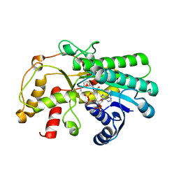 BU of 7c1e by Molmil