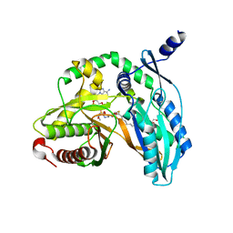 BU of 7c1l by Molmil