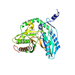 BU of 7c1s by Molmil