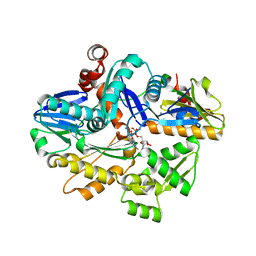 BU of 7c2h by Molmil