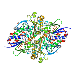 BU of 7c3l by Molmil