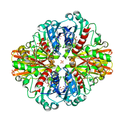 BU of 7c5q by Molmil