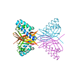 BU of 7c5w by Molmil