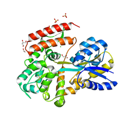 BU of 7c63 by Molmil