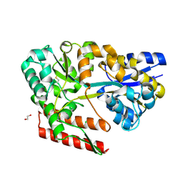 BU of 7c6l by Molmil