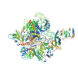 BU of 7c79 by Molmil