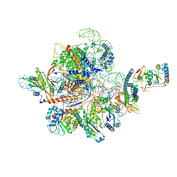 BU of 7c7a by Molmil